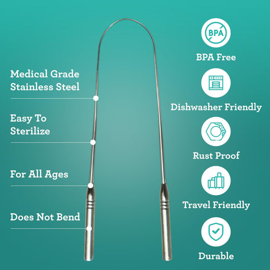 U Shaped Stainless Steel Tongue Scraper (2-Pack)