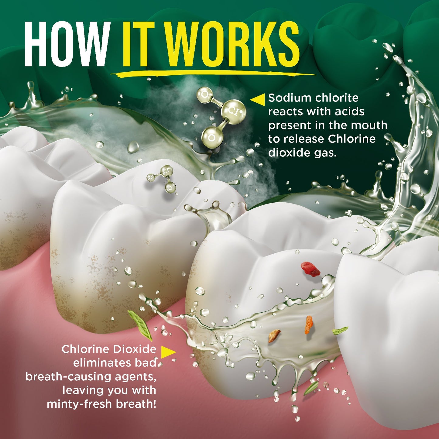 Oral Rinse Breath Harmonizer Mouthwash - Wild Mint (16 Fl Oz)