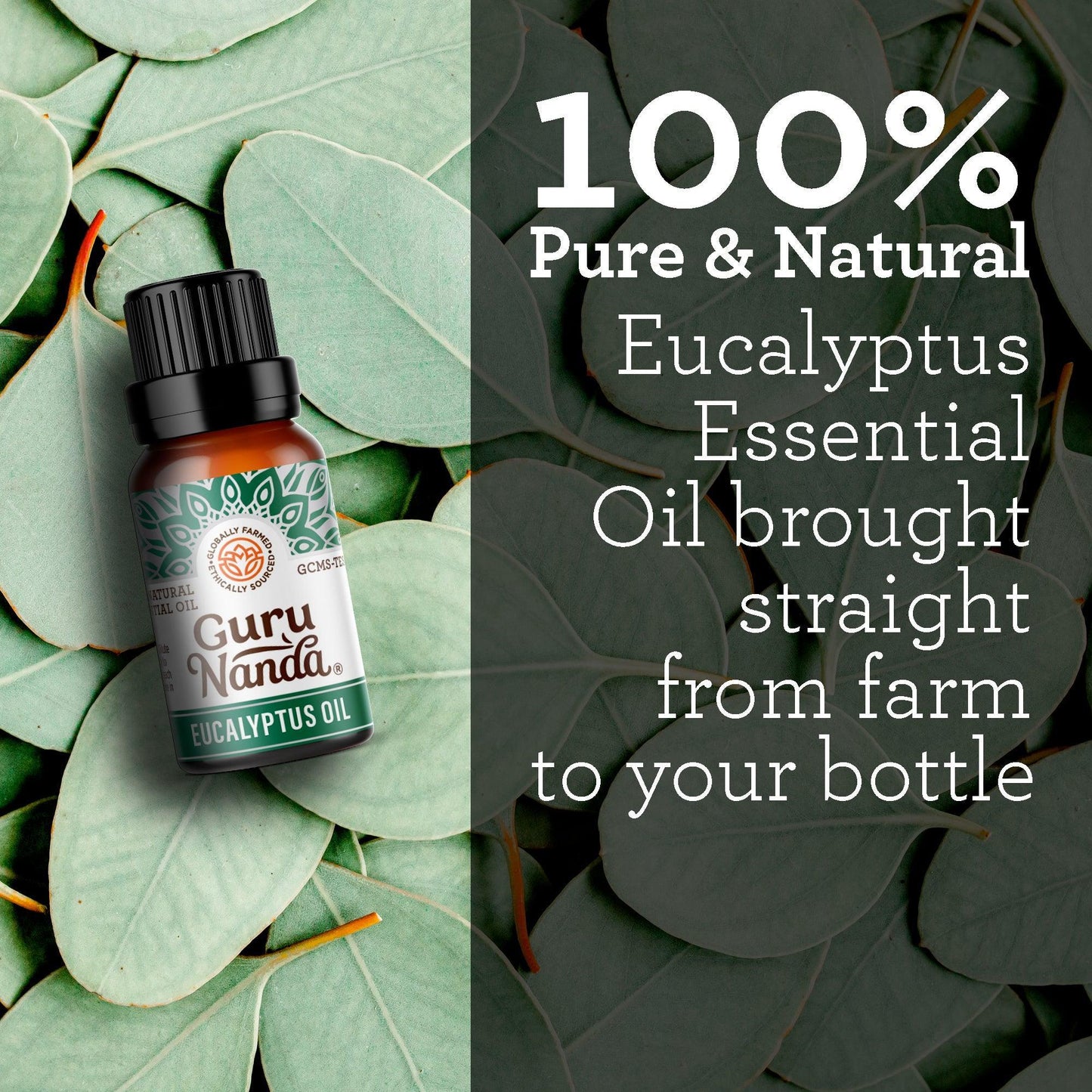 Eucalyptus Essential Oil, 15 ML - 2 PK