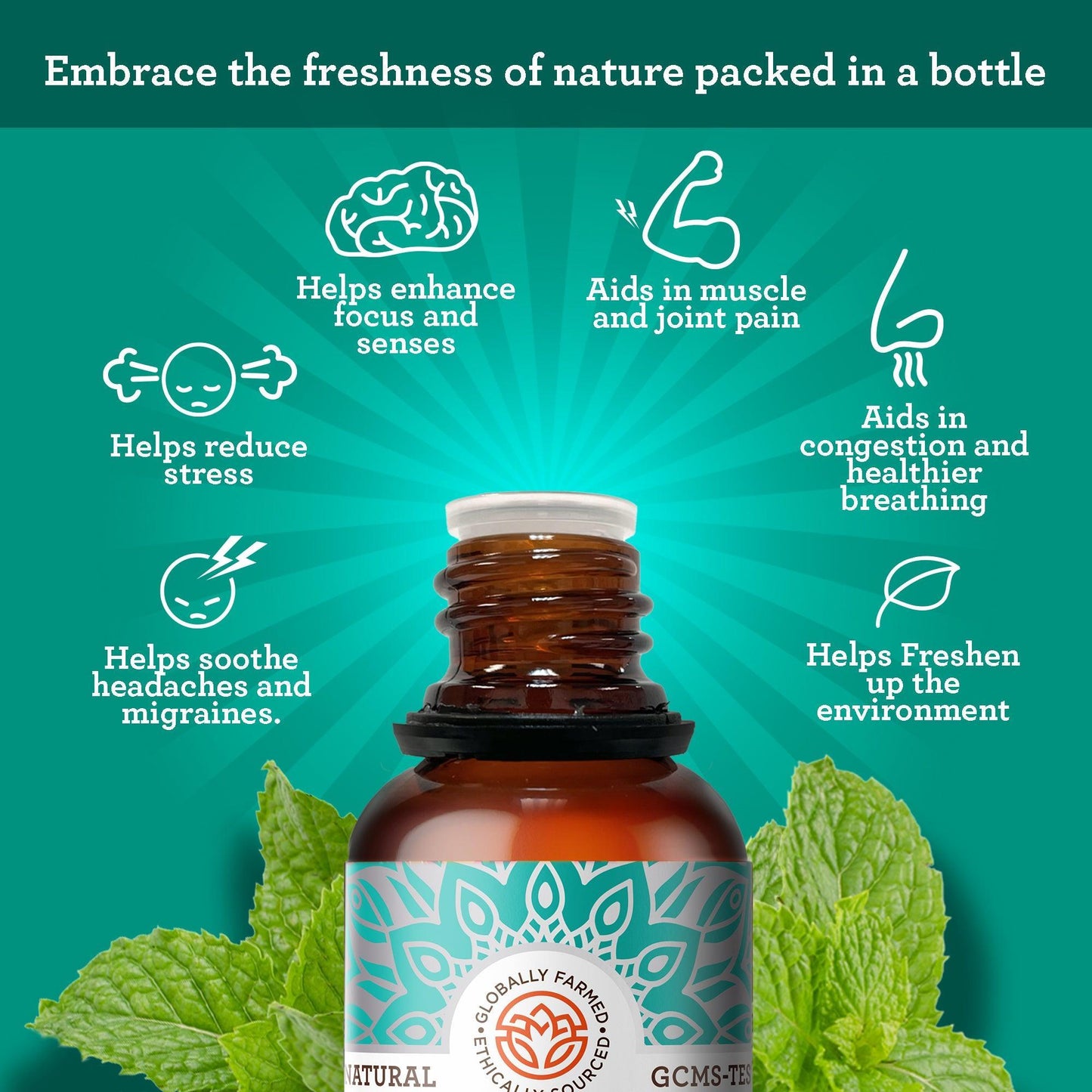 Peppermint Essential Oil, 15 ML - 1 PK