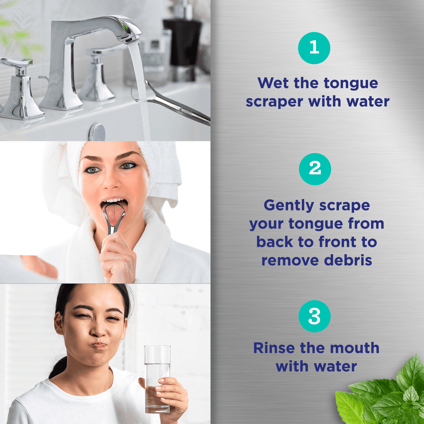 Spoon Shaped Stainless Steel Tongue Scraper (2-Pack)