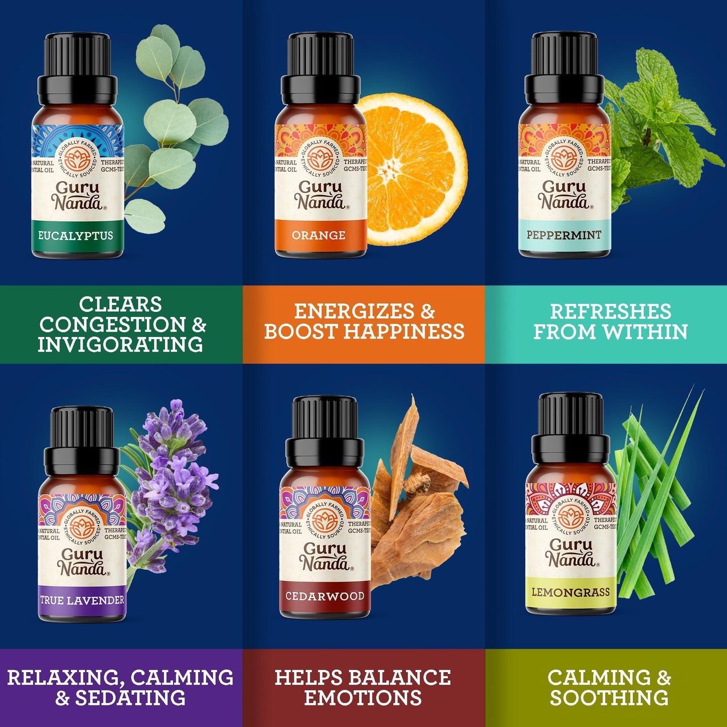 Top 12 Essential Oils Set With Keepsake Storage Box